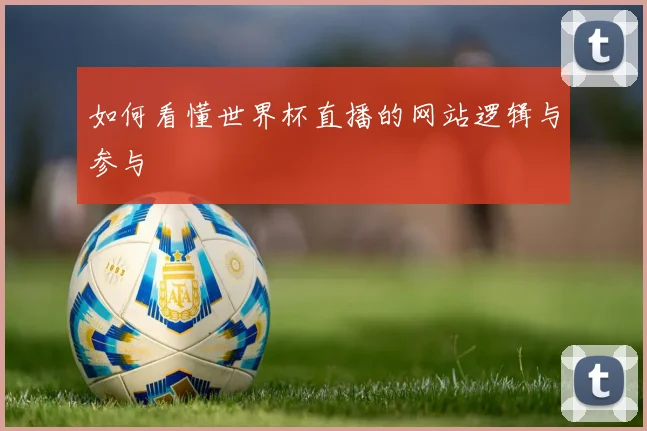 如何看懂世界杯直播的网站逻辑与参与